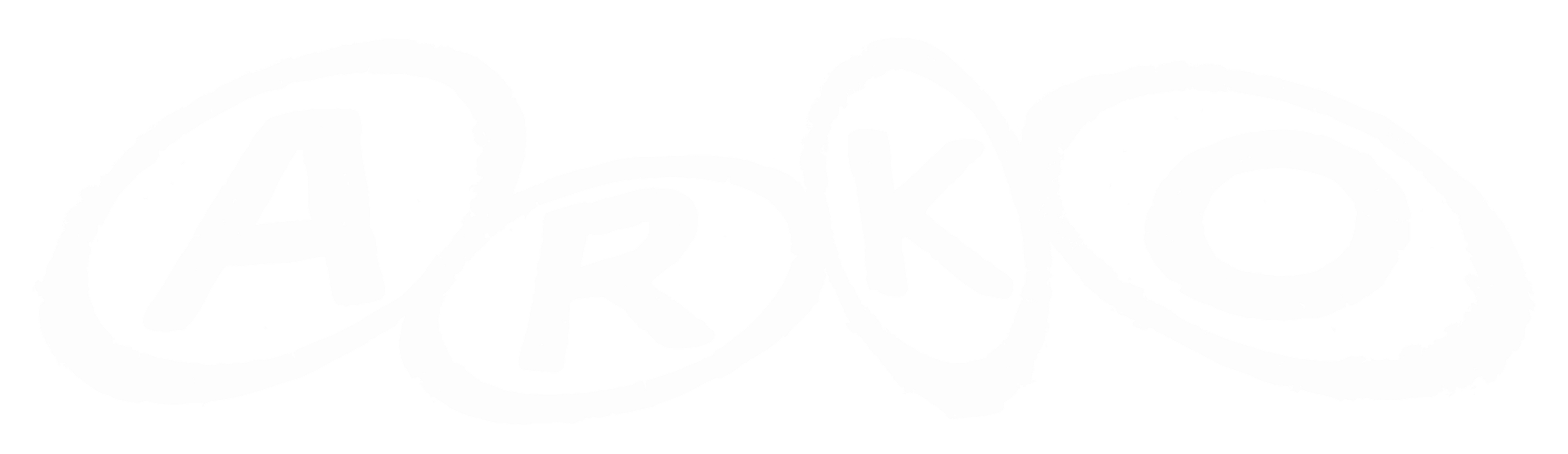 Arko Camera